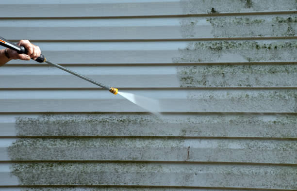 Why Choose Our Certified Pressure Washing Experts for Your Project Needs in Fish Hawk, FL?